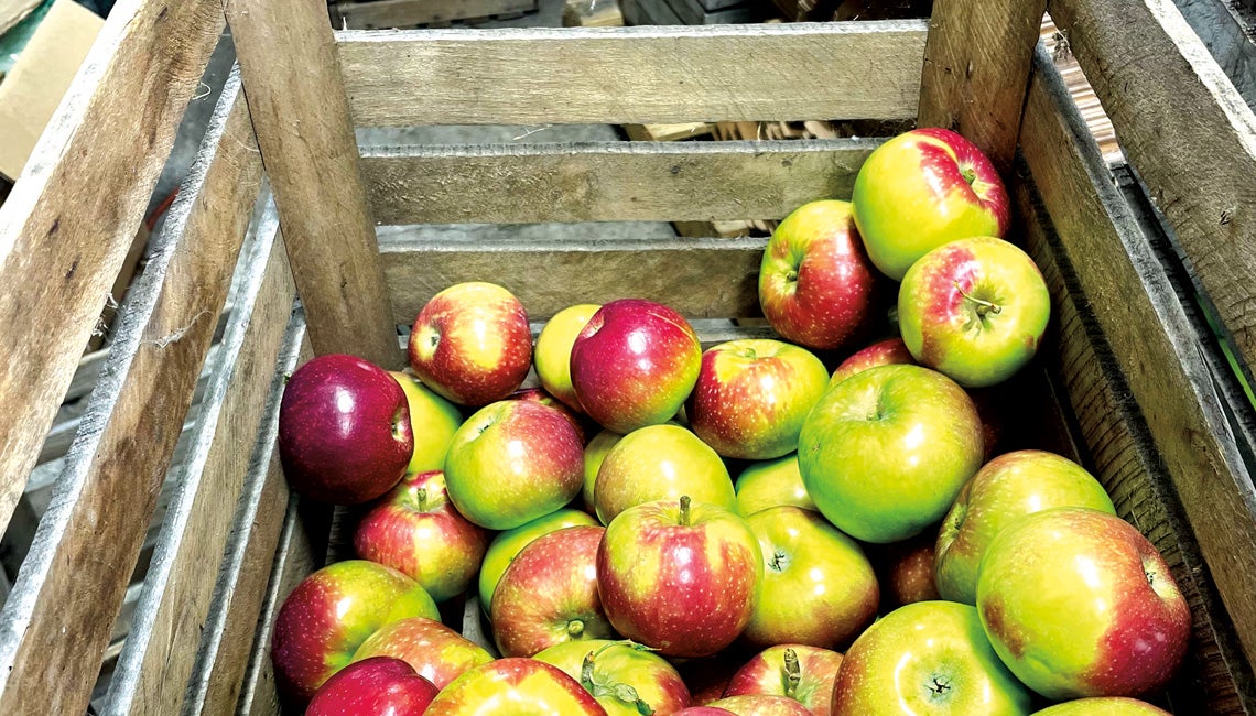 Apples in crate