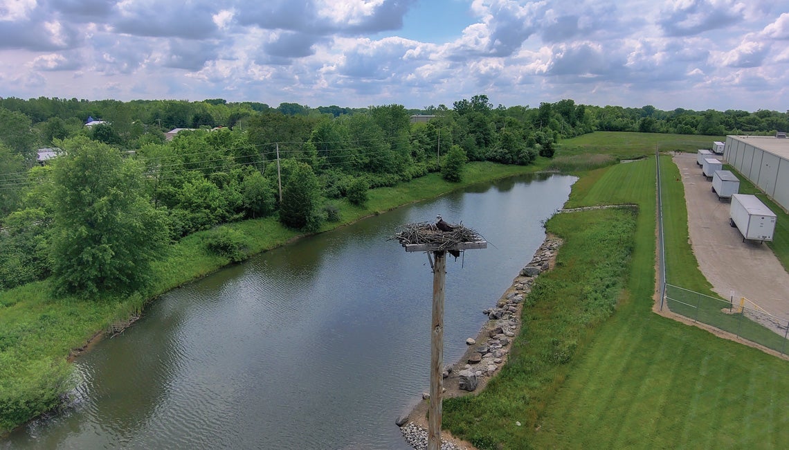 A lineworker crew setting a nesting pole for a family of Osprey