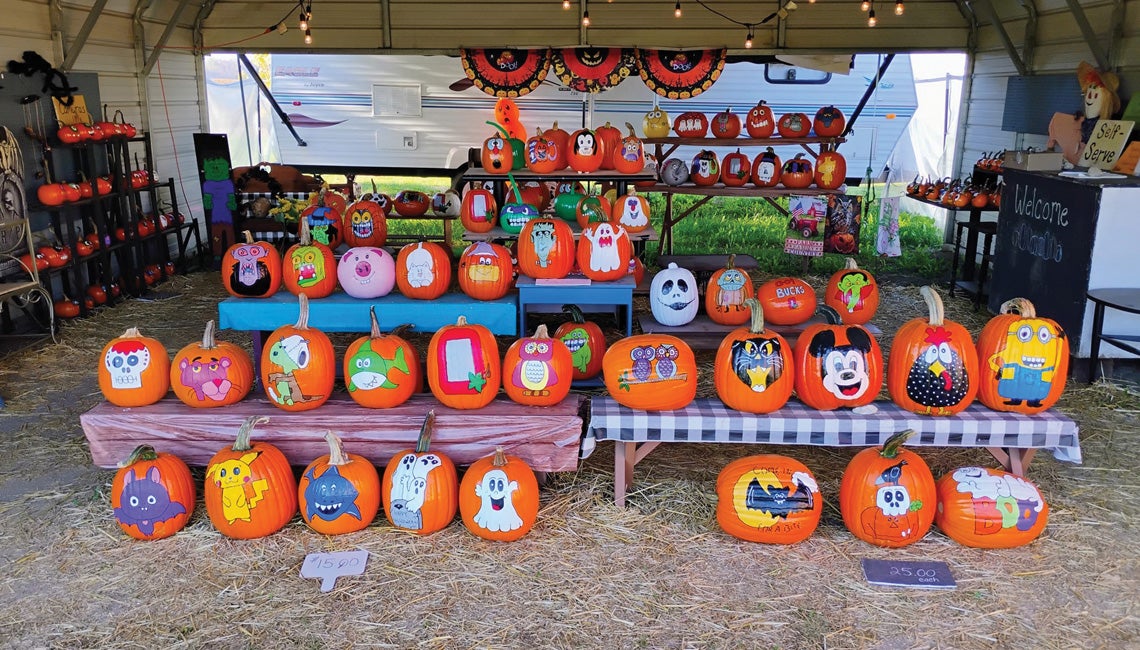 Painted pumpkins on display