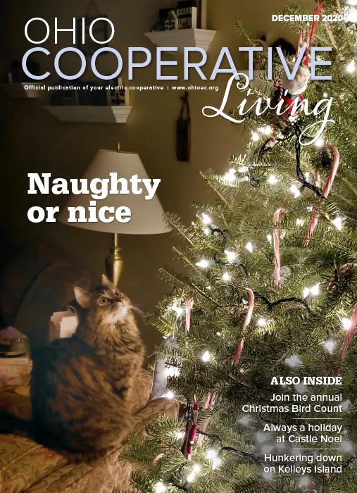 December 2020 magazine cover
