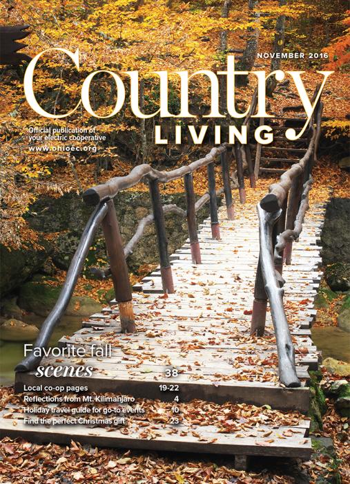 November 2016 Cover