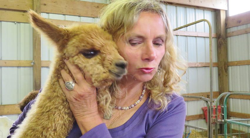 Debbie Patonai of The Alpacas of Phantasy Pharm hugs one of her new, lighter-fleeced alpacas. (Photo by Damaine Vonada)