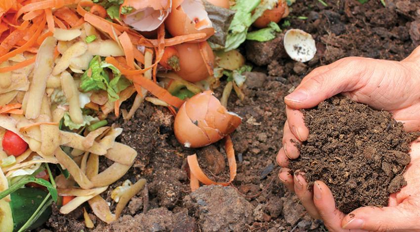 An assortment of potato peels, carrot peels, eggshells, and soil.