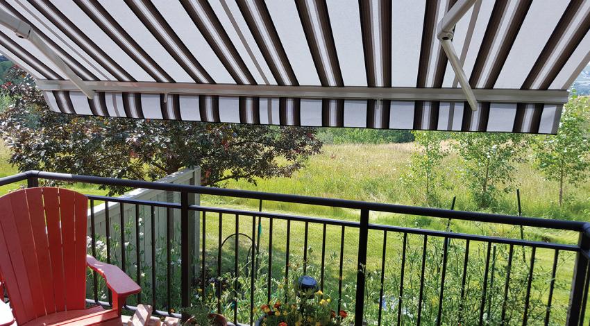 A backyard with flowers and a shade.