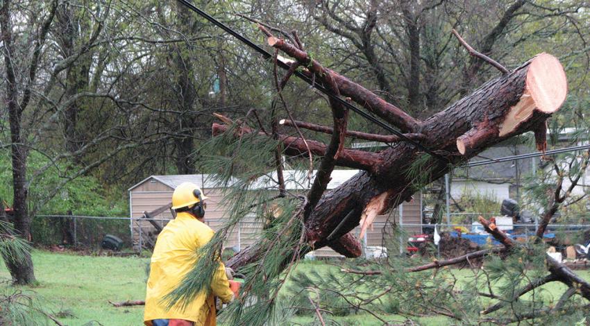 A lineworker takes a chainsaw to a fallen limb.