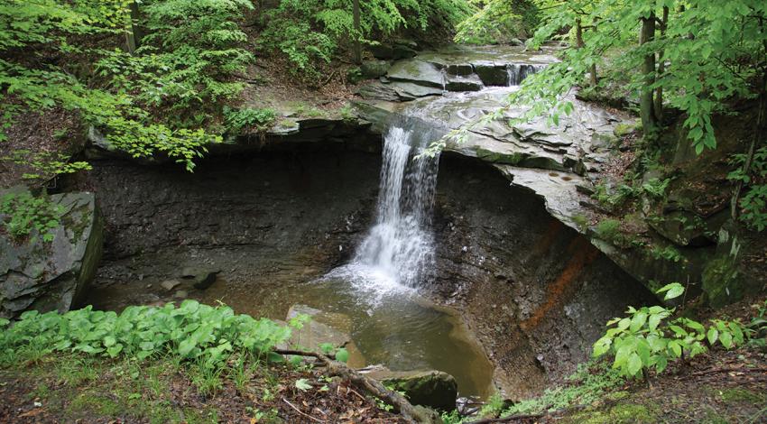 A small waterfall in Cuyahoga Valley National Park surrounded by greenery.