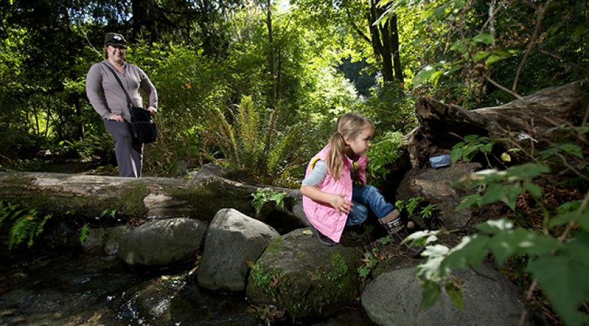 A girl looks at something in a log while a woman stands behind her.