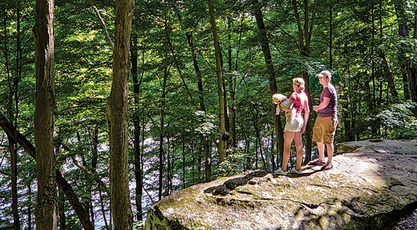 A couple and their dog look at the forest from a cliff.