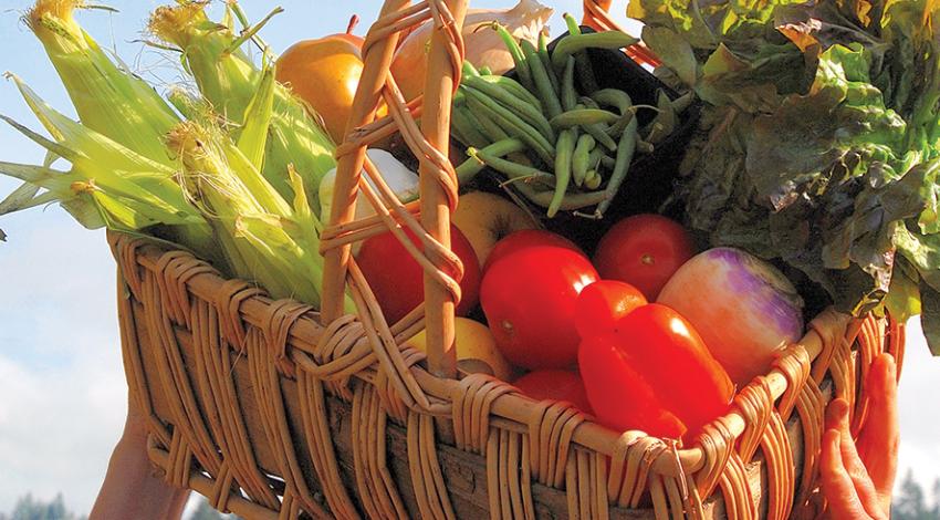 A basket containing vegetables, including corn, green beans, tomatoes, and peppers.