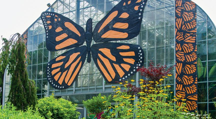 The outside of the Krohn Conservatory, which features a giant monarch butterfly over its door.