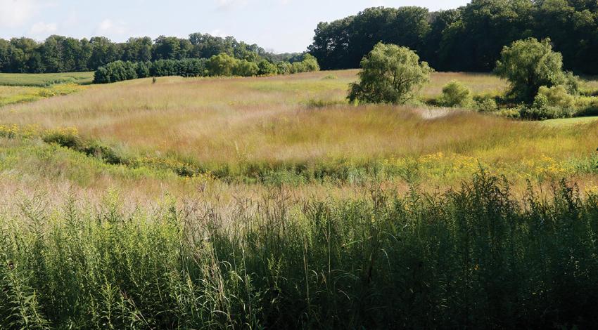 A picture of an Ohio prairie