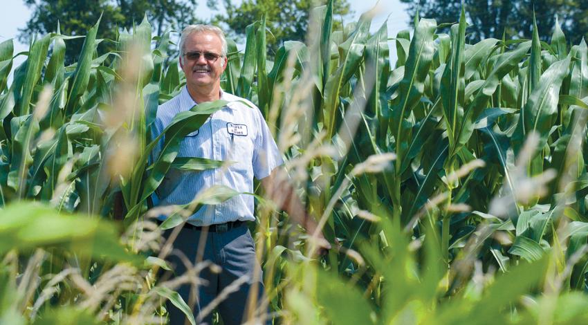 Roger Rank standing in a cornfield