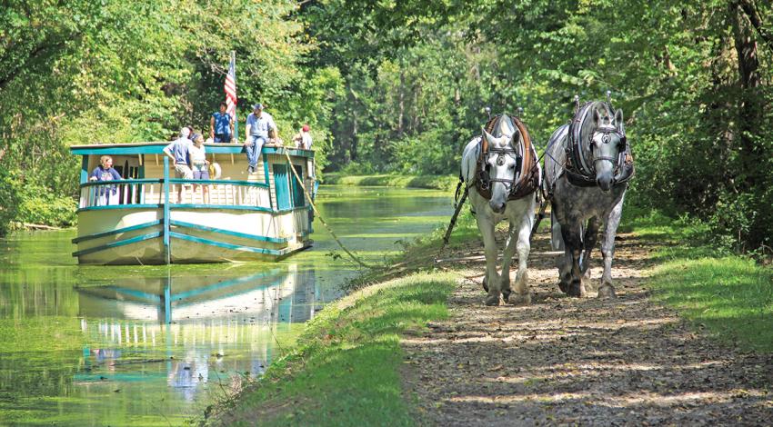 Two horses lead a canal boat down the river