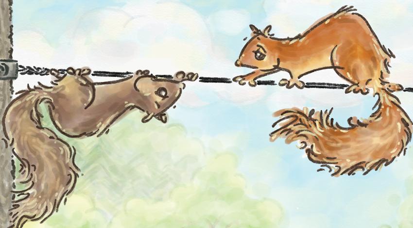 A cartoon squirrel hangs from a wire and stares at another squirrel staring at it from above the wire.