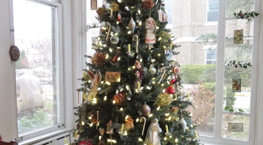 The Christmas tree in the window of the rectory at St. Mary of the Immaculate Conception Church