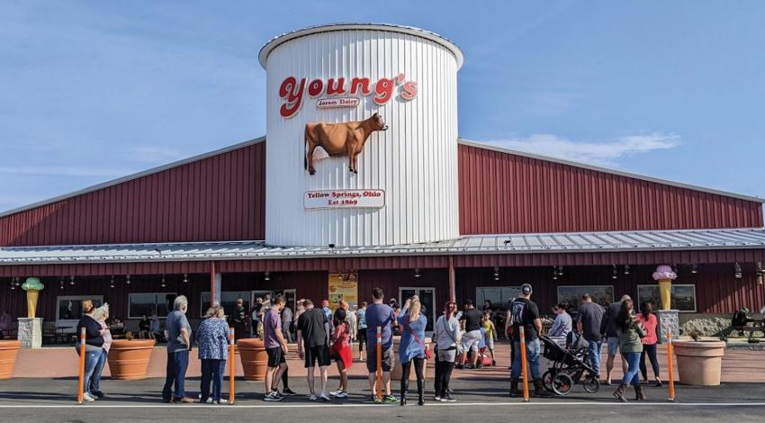 Young's Jersey Dairy