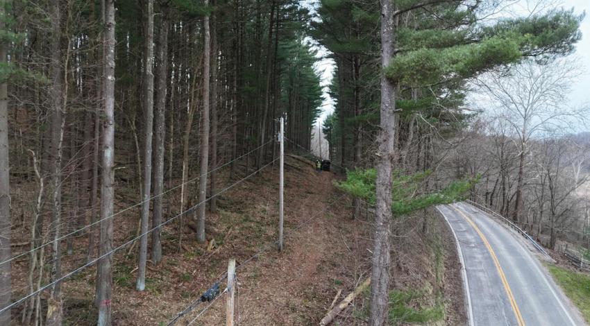 Power lines running through trees