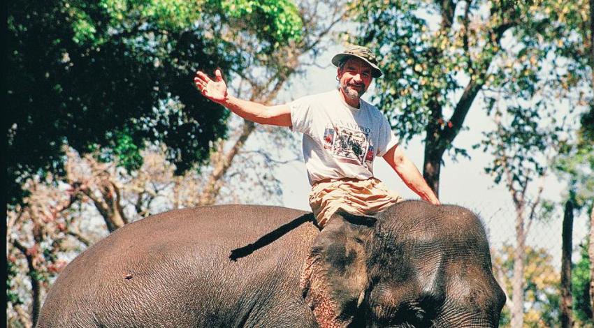 A man sitting on an elephant