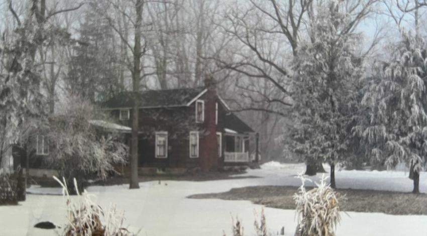 house surrounded by snowy trees