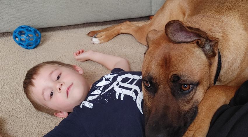 dog lying on little boy