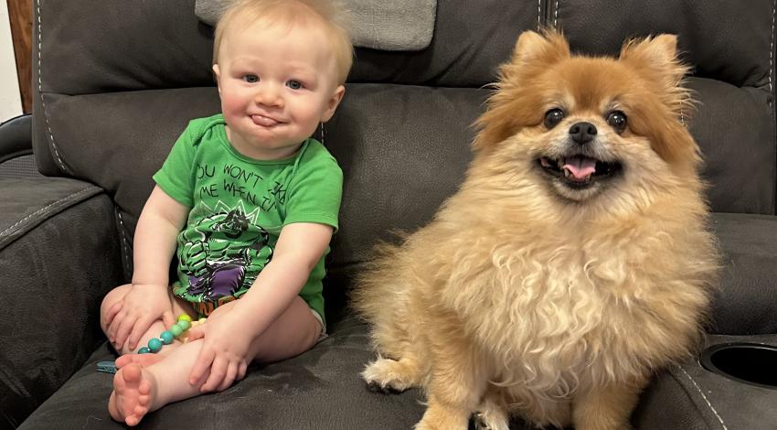 little boy and fluffy dog on couch