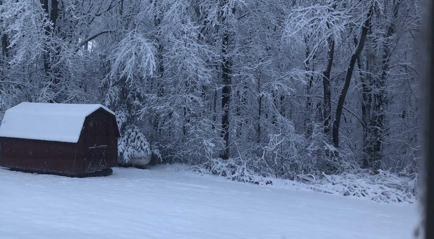 small red barn in front of snowy woods