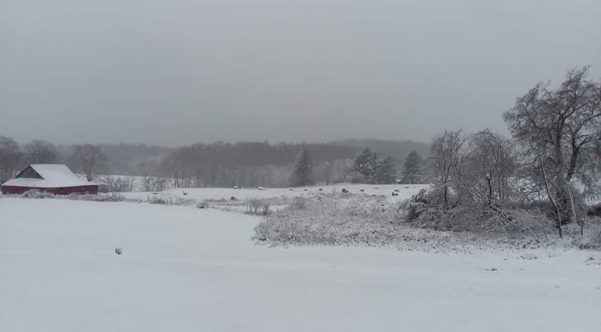 snow fields with barn in the background