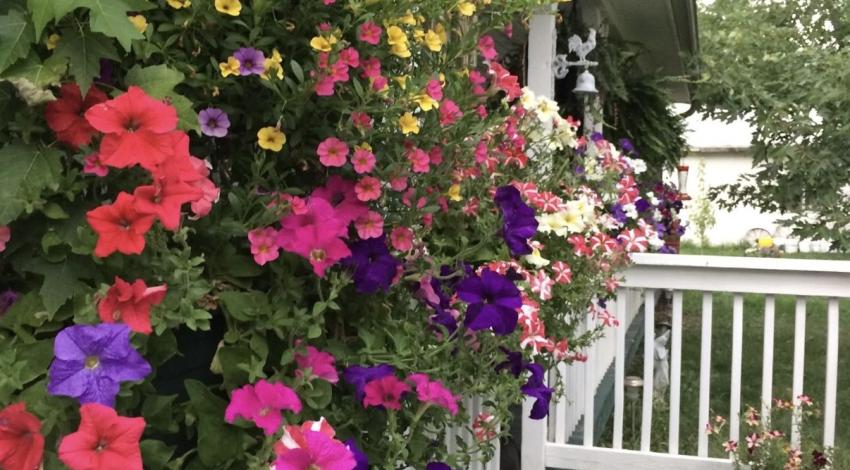 bright flowers along porch railing