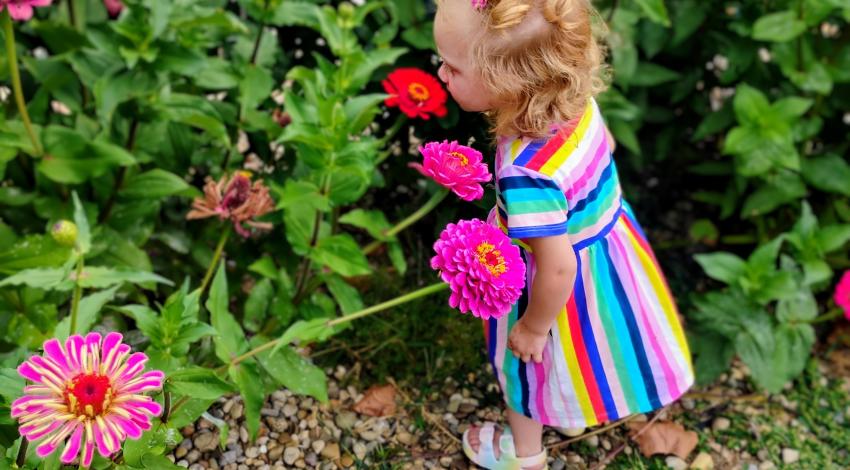 little girl among pink flowers