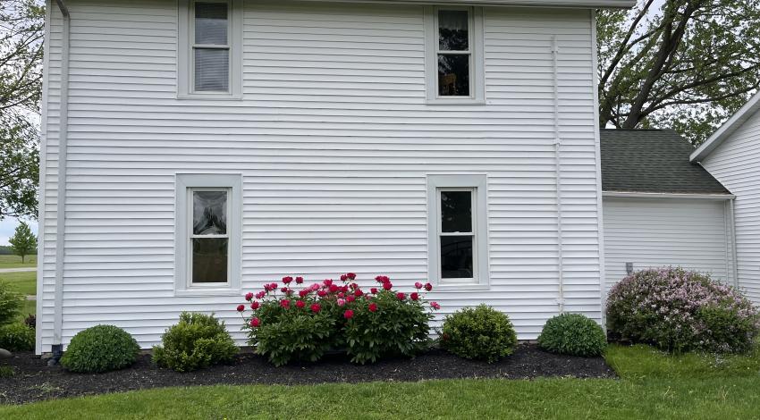 flowers behind white house