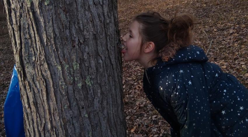 girl licking tree