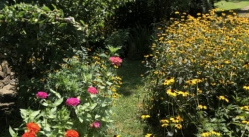 path lined with flowers