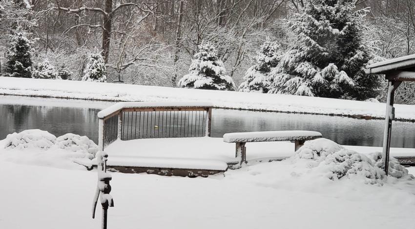 pond surrounded by snow