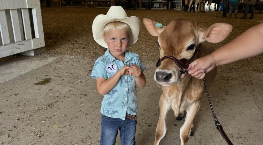 little boy with calf