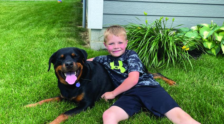 boy sitting in grass with black and brown dog