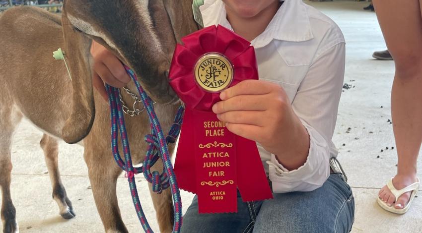 little girl with goat and red ribbon