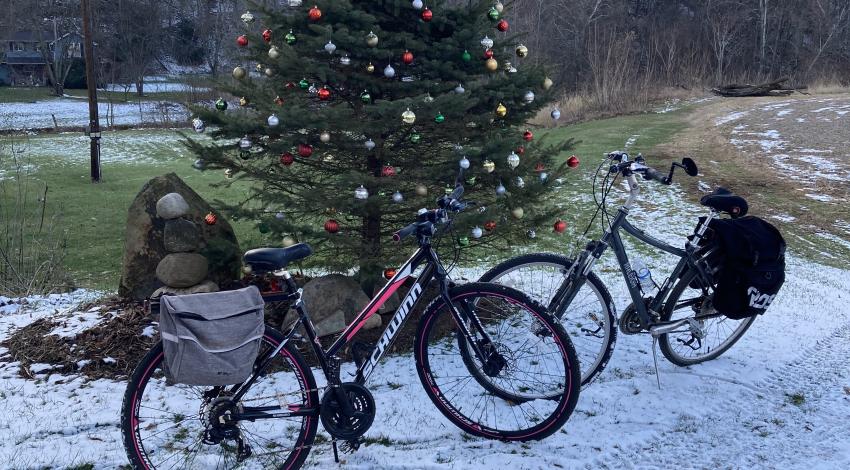 bikes in snow by decorated tree