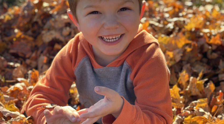 little boy in leaf pile