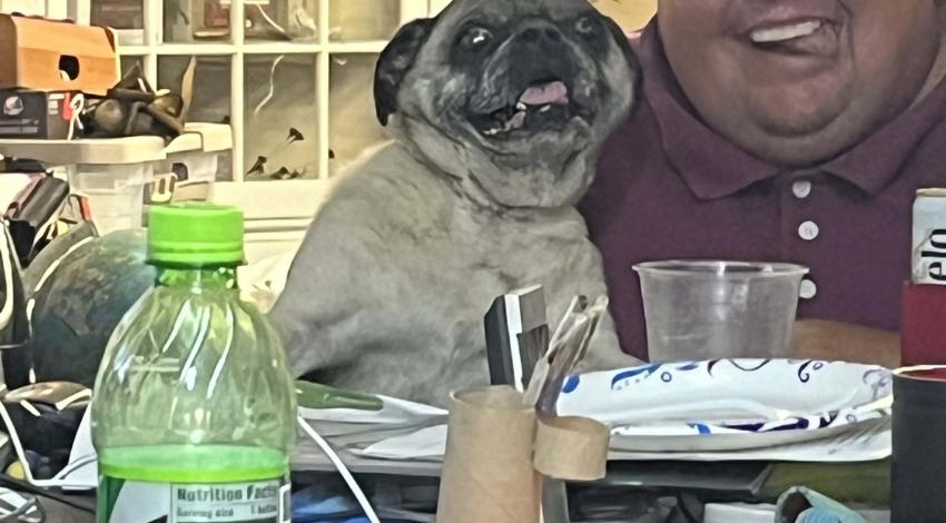 man and pug at table, both smiling