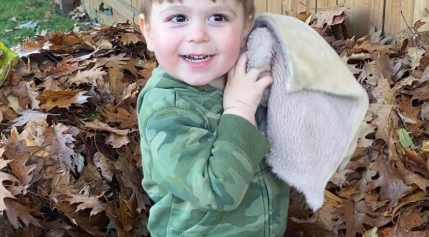little boy in leaf pile