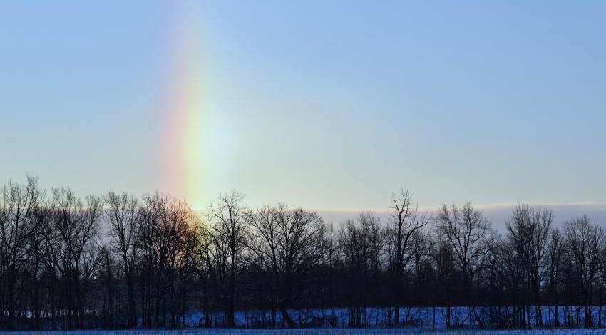 vertical rainbow over snowy woods