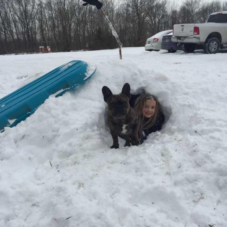 girl and dog look out of snow fort