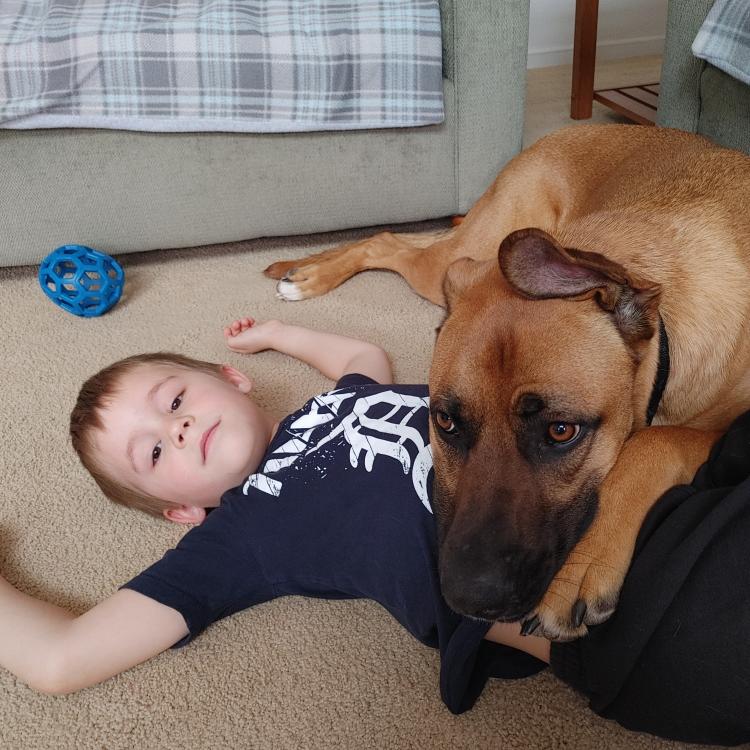 dog lying on little boy
