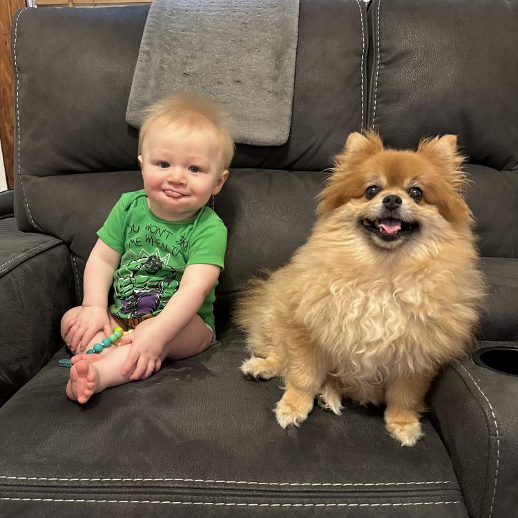 little boy and fluffy dog on couch