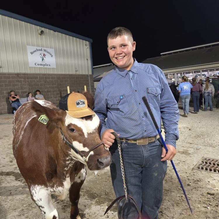 boy with steer