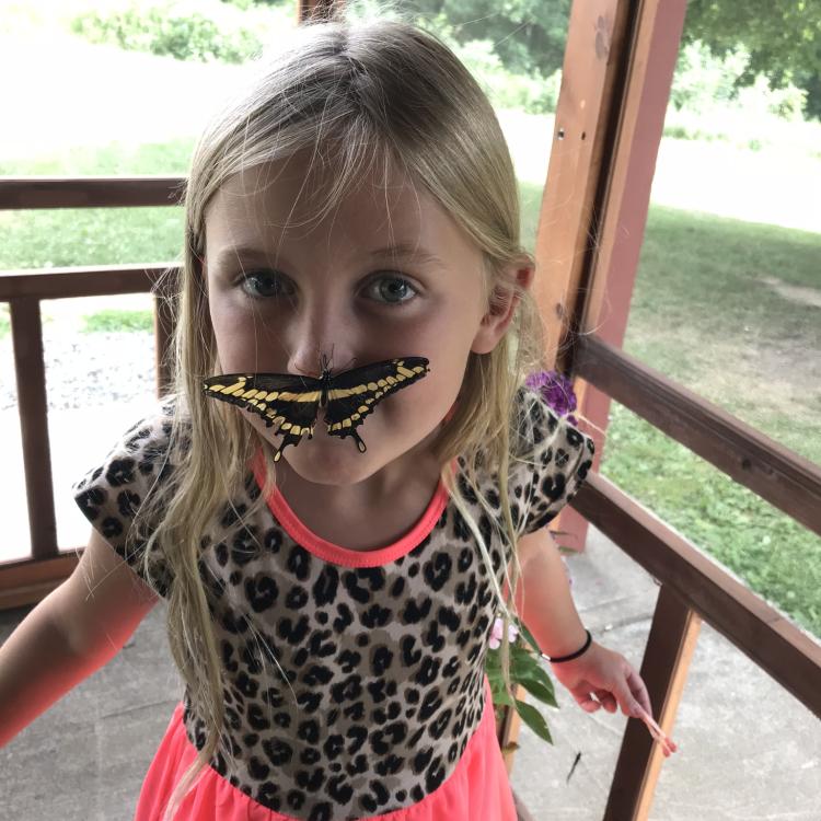 young girl with black-and-yellow butterfly on her nose