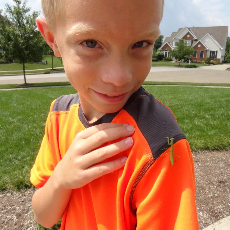 Boy in bright orange shirt with praying mantis on his shoulder