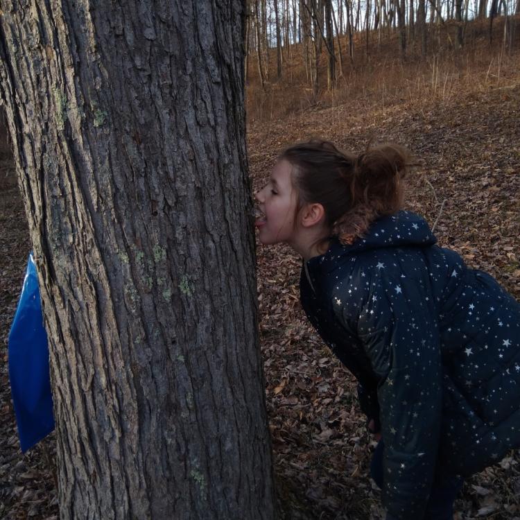 girl licking tree
