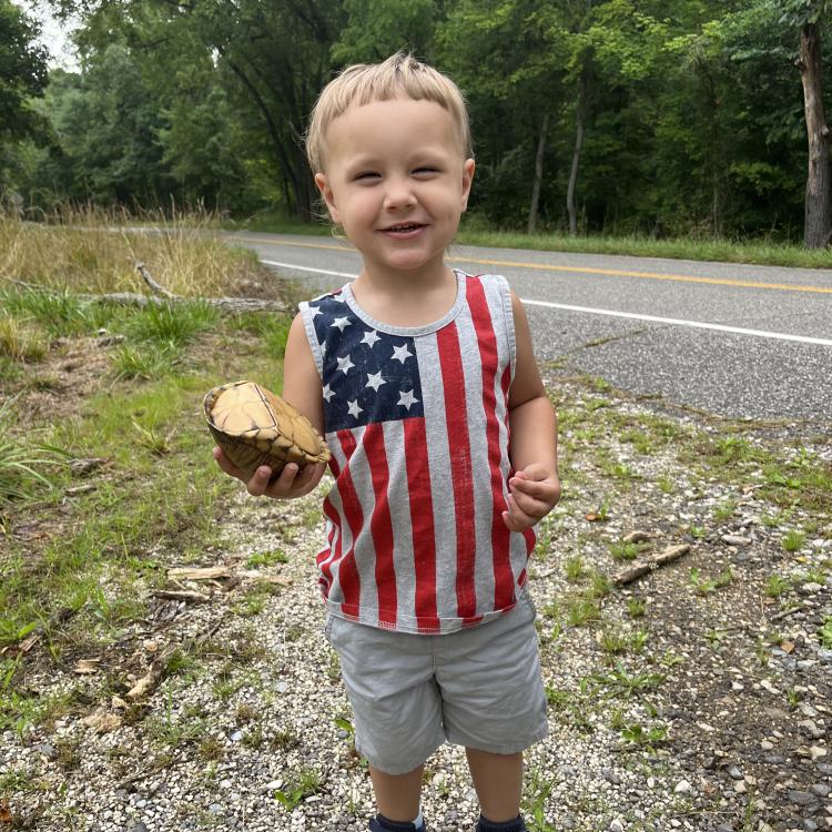 little boy in American flag shirt