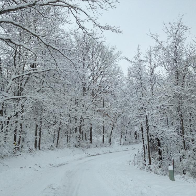 country road in the snow